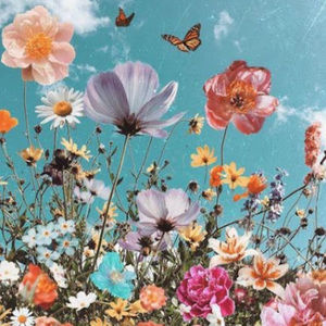 Meet your Posher, Aubrey